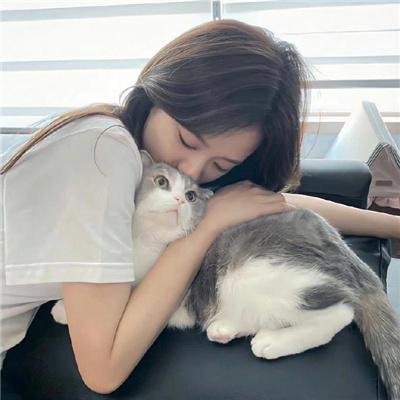 狩猎狗海报