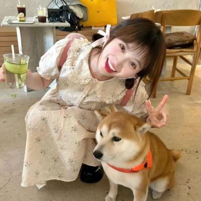 星外来客海报